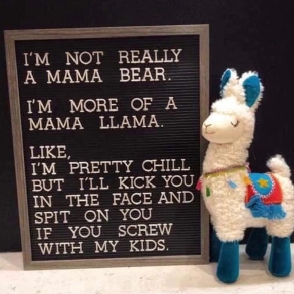 💛 MEET THE POSHER(S) 👶👶👩🐶🐱🐯 - Picture 12 of 16